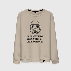 Мужской свитшот Одна вселенная