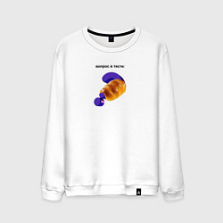 Свитшот хлопковый мужской Вопрос в тесте - каламбурная надпись, цвет: белый