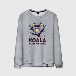 Свитшот хлопковый мужской Коала в солнцезащитных очках, цвет: меланж