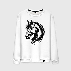 Свитшот хлопковый мужской Грациозная лошадь, цвет: белый