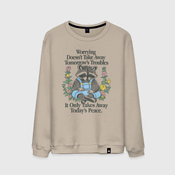 Свитшот хлопковый мужской Спокойный Енот, цвет: миндальный
