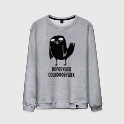 Свитшот хлопковый мужской Воробушек - социофобушек, цвет: меланж