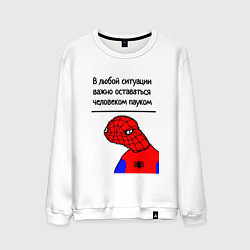 Свитшот хлопковый мужской В любой ситуации человек-паук мем, цвет: белый