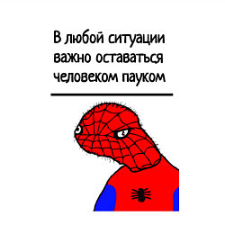 Свитшот хлопковый мужской В любой ситуации человек-паук мем, цвет: белый — фото 2