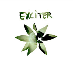 Свитшот хлопковый мужской Depeche Mode - Exciter Flower, цвет: белый — фото 2