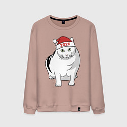 Мужской свитшот Мемный кот Бендер - 2026