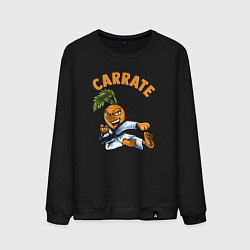 Свитшот хлопковый мужской Carrate, цвет: черный