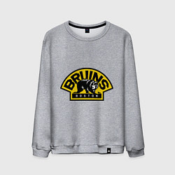 Мужской свитшот HC Boston Bruins Label