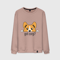 Мужской свитшот Got Corgi