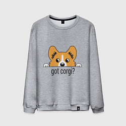Свитшот хлопковый мужской Got Corgi, цвет: меланж