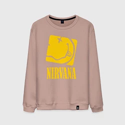 Свитшот хлопковый мужской Nirvana Cube, цвет: пыльно-розовый