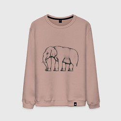 Свитшот хлопковый мужской Сколько ног у слона, цвет: пыльно-розовый