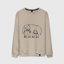 Свитшот хлопковый мужской Сколько ног у слона, цвет: миндальный
