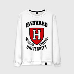 Мужской свитшот Harvard University