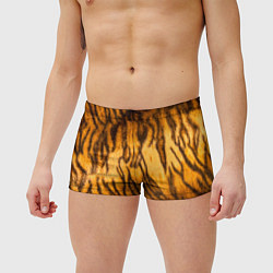 Мужские плавки Шкура тигра 2022, цвет: 3D-принт — фото 2
