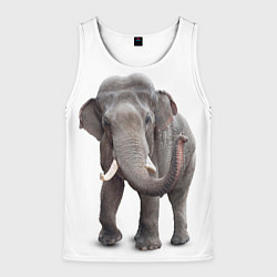 Майка-безрукавка мужская Большой слон, цвет: 3D-белый