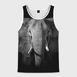 Майка-безрукавка мужская Взгляд слона, цвет: 3D-белый
