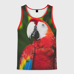 Майка-безрукавка мужская Красный попугай Ара, цвет: 3D-красный