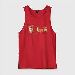 Мужская майка Корги