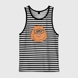 Майка мужская хлопок Померанский шпиц хипстер, цвет: черная тельняшка