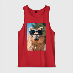 Майка мужская хлопок Модная капибара в очках, цвет: красный