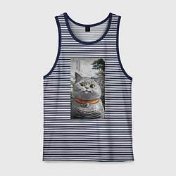 Мужская майка Мемный кот в японском стиле