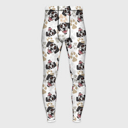 Тайтсы мужские Далматинец Dalmatian, цвет: 3D-принт