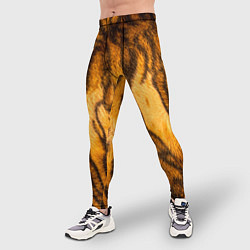 Тайтсы мужские Шкура тигра 2022, цвет: 3D-принт — фото 2