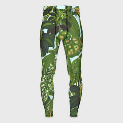 Тайтсы мужские Зеленые Тропические Растения, цвет: 3D-принт