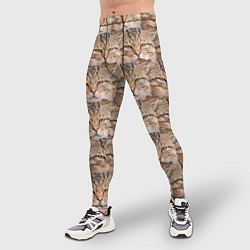 Тайтсы мужские Кот - Гипнокот, цвет: 3D-принт — фото 2