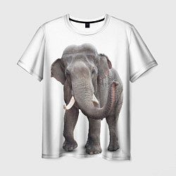 Футболка мужская Большой слон, цвет: 3D-принт