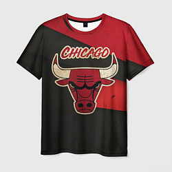 Футболка мужская Chicago Bulls: Old Style, цвет: 3D-принт