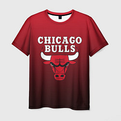 Футболка мужская CHICAGO BULLS, цвет: 3D-принт