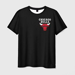 Футболка мужская CHICAGO BULLS, цвет: 3D-принт