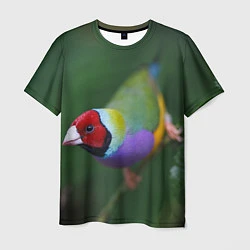 Футболка мужская Яркая птичка попугай, цвет: 3D-принт