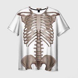 Футболка мужская Анатомия Скелет, цвет: 3D-принт