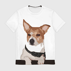 Футболка мужская Джек-рассел терьер, цвет: 3D-принт