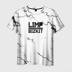 Футболка мужская Limp bizkit storm black, цвет: 3D-принт