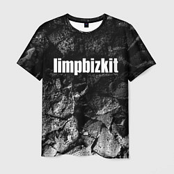 Футболка мужская Limp Bizkit black graphite, цвет: 3D-принт