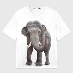 Футболка оверсайз мужская Большой слон, цвет: 3D-принт