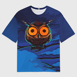 Футболка оверсайз мужская Глаза филина, цвет: 3D-принт