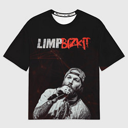 Футболка оверсайз мужская Limp Bizkit, цвет: 3D-принт