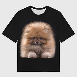 Футболка оверсайз мужская Рыжий Шпиц, цвет: 3D-принт