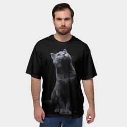 Футболка оверсайз мужская Кот Британец, цвет: 3D-принт — фото 2