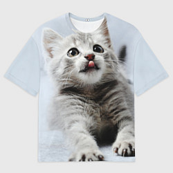 Футболка оверсайз мужская Серый котенок, цвет: 3D-принт