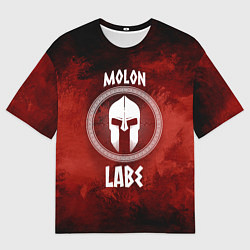 Футболка оверсайз мужская Molon Labe, цвет: 3D-принт