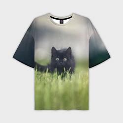 Футболка оверсайз мужская Черный кот на лугу, цвет: 3D-принт