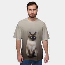 Футболка оверсайз мужская Сиамский кот голубые глаза, цвет: 3D-принт — фото 2