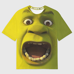 Футболка оверсайз мужская Shrek is Yelling, цвет: 3D-принт