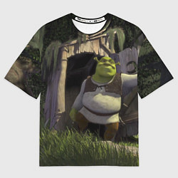 Футболка оверсайз мужская Shrek: Somebody Once Told Me, цвет: 3D-принт